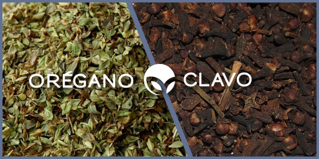 CLAVOvsOREGANO-blog