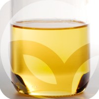 LIDERVET-blog-crecimiento-3