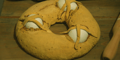 BLOG-MONA-1-LIDERVET