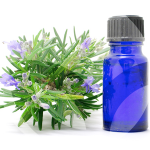 actual-BLOG_LIDERVET