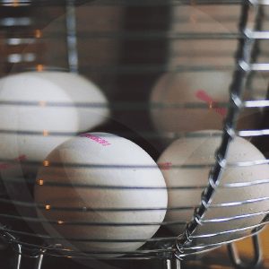 HUEVOS-BLOG_LIDERVET