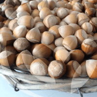 AVELLANAS-BLOG_LIDERVET