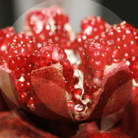 GRANADA-BLOG_LIDERVET