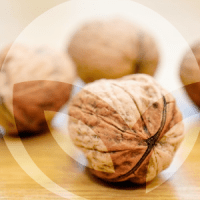 NUECES-BLOG_LIDERVET