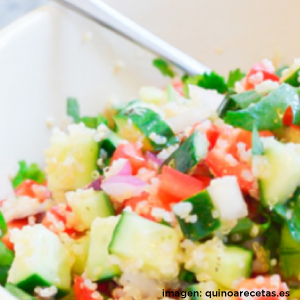 ensalada-quinoa-BLOG_LIDERVET