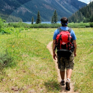 primavera-BLOG_LIDERVET