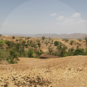 kolam-1-BLOG_LIDERVET