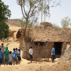 kolam-2-BLOG_LIDERVET