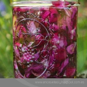 tonico-BLOG_LIDERVET