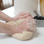 amasar-BLOG_LIDERVET