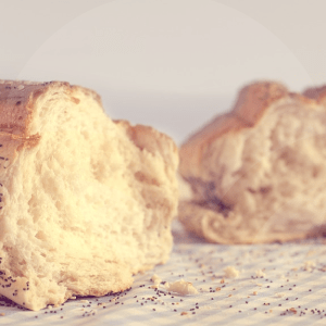 intro-pan-BLOG_LIDERVET