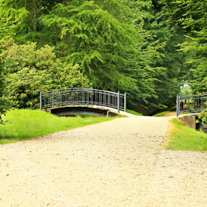 parque-BLOG_LIDERVET