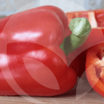 pimiento-BLOG_LIDERVET