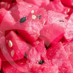 sandia-BLOG_LIDERVET