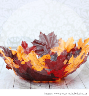 cuenco-hojas-blog_lidervet